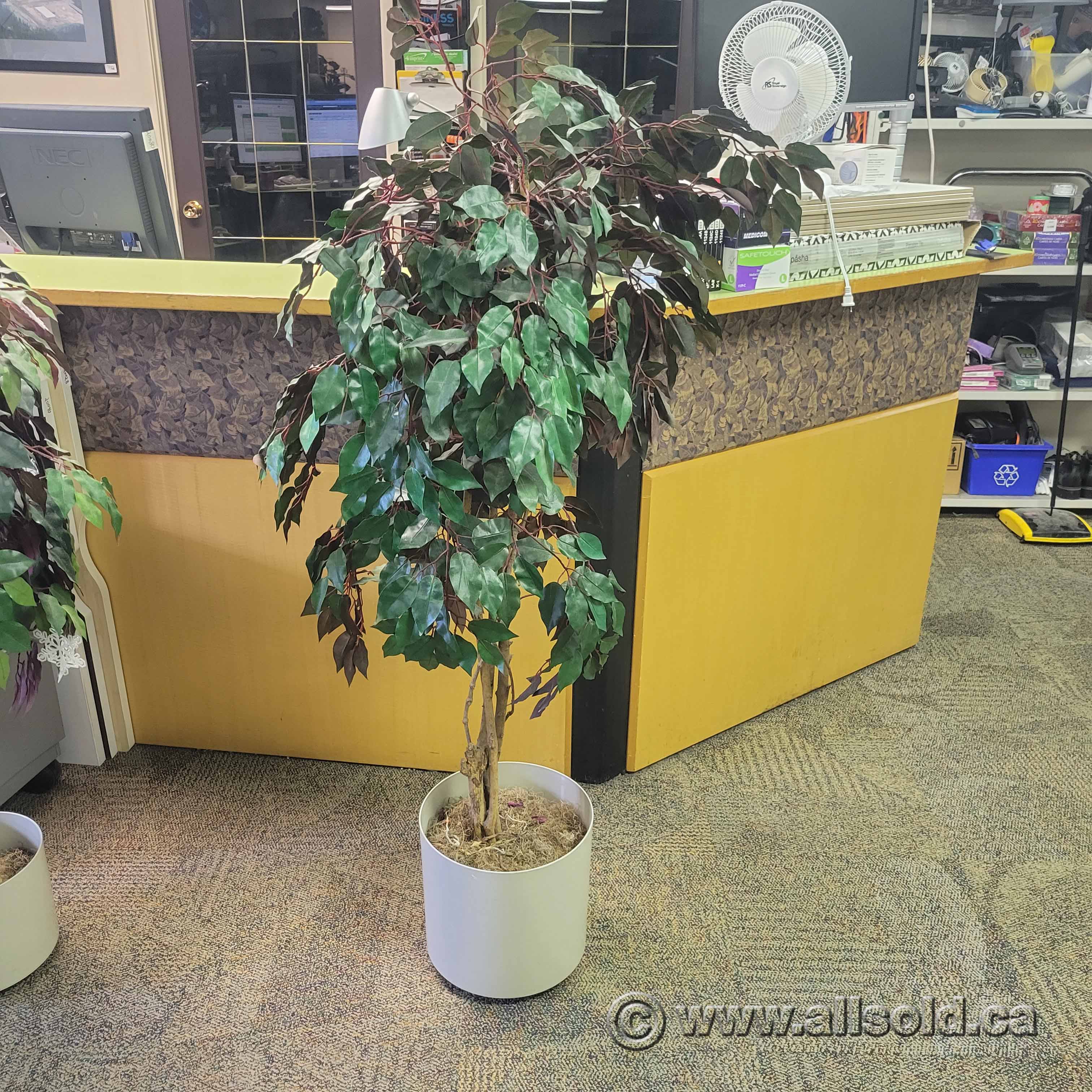 Artificial Silk Tree Allsold.ca Buy & Sell Used Office Furniture